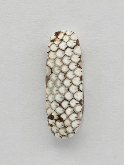 Snake skin agate cabochon