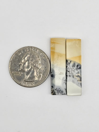 Maligano Jasper Cabochon Pair