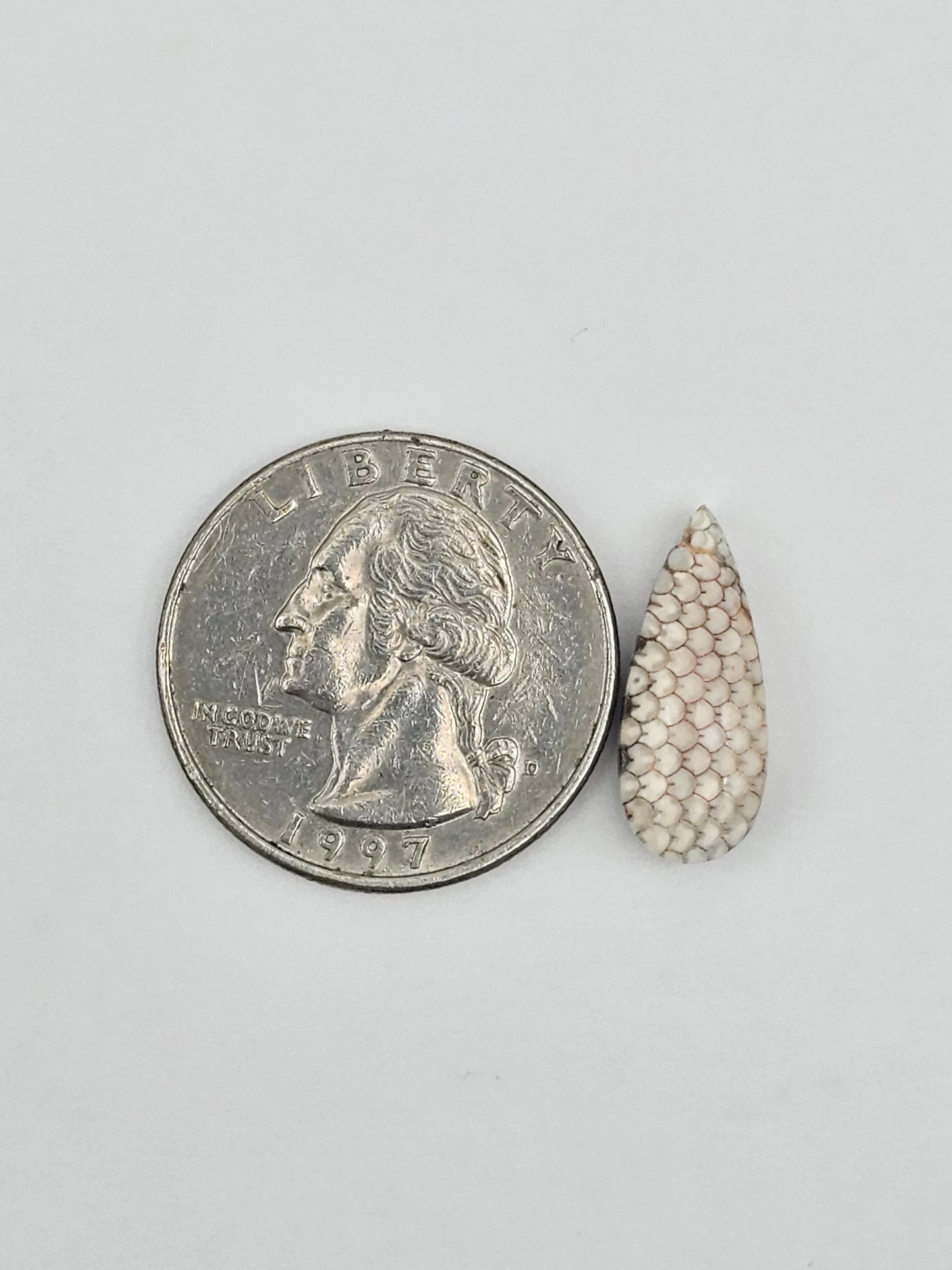 Snake skin agate cabochon
