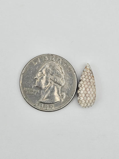 Snake skin agate cabochon