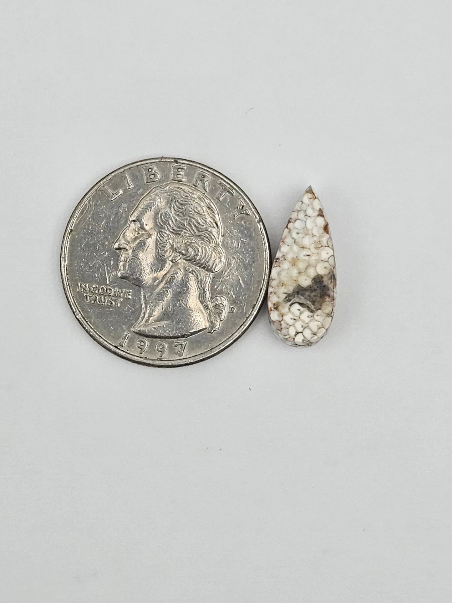 Snake skin agate cabochon