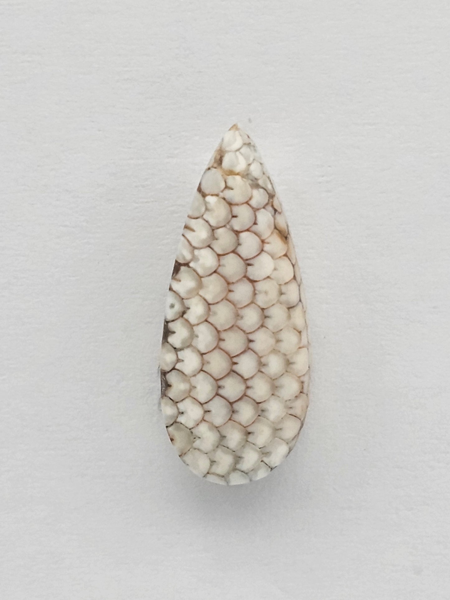 Snake skin agate cabochon