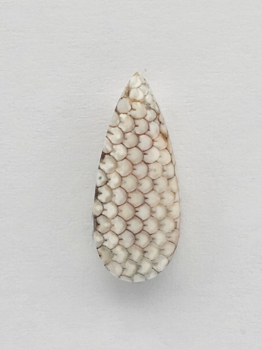 Snake skin agate cabochon