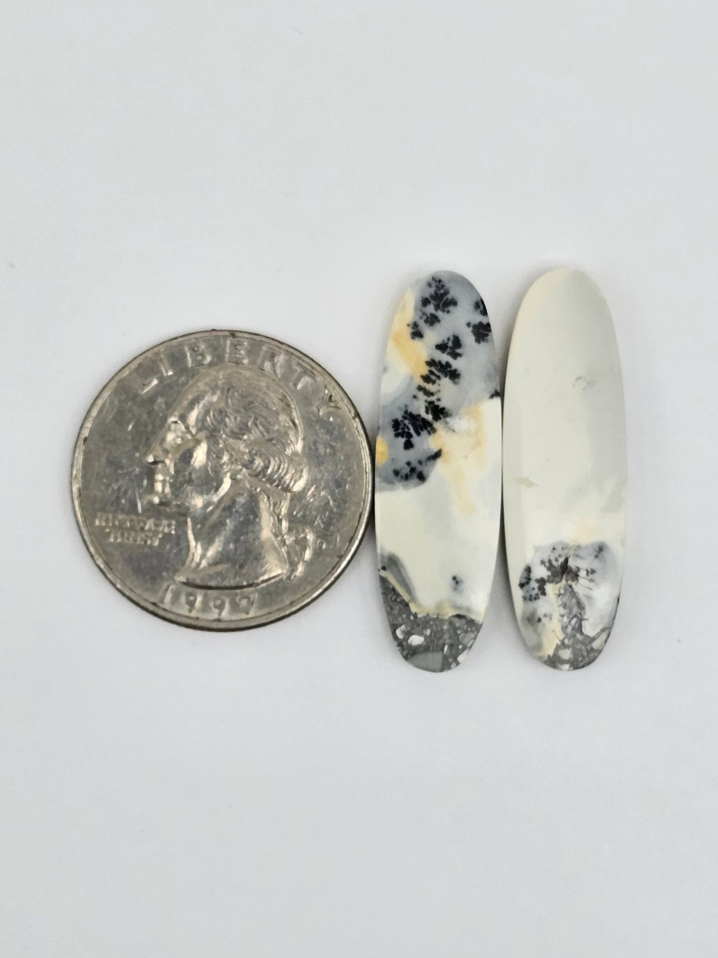 Maligano Jasper Cabochon Pair