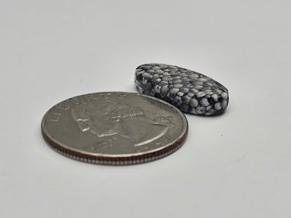Snake skin agate cabochon