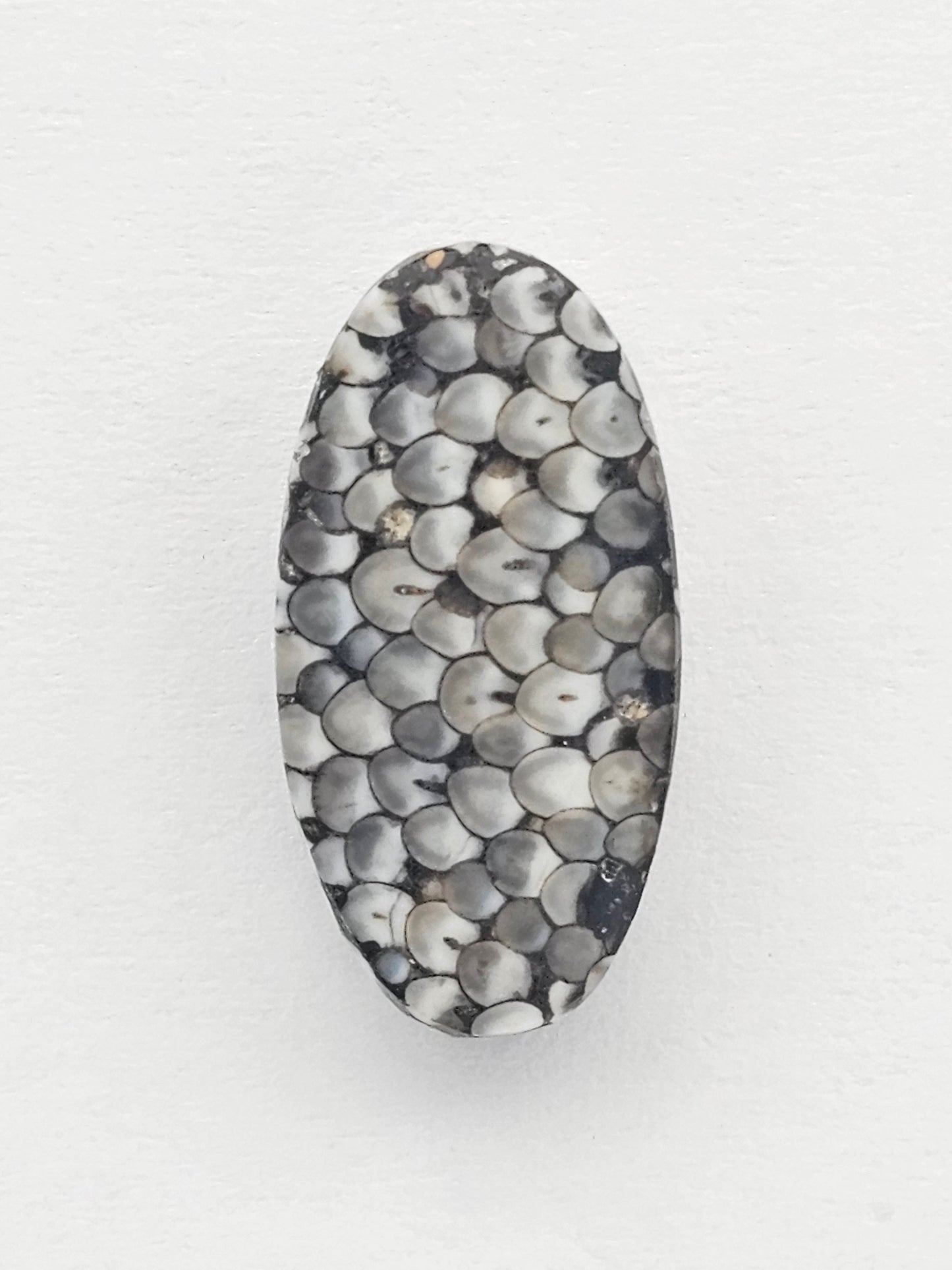 Snake skin agate cabochon