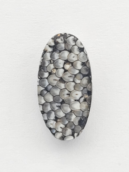 Snake skin agate cabochon