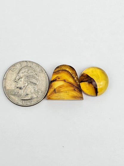 Amber authentic cabochon set large