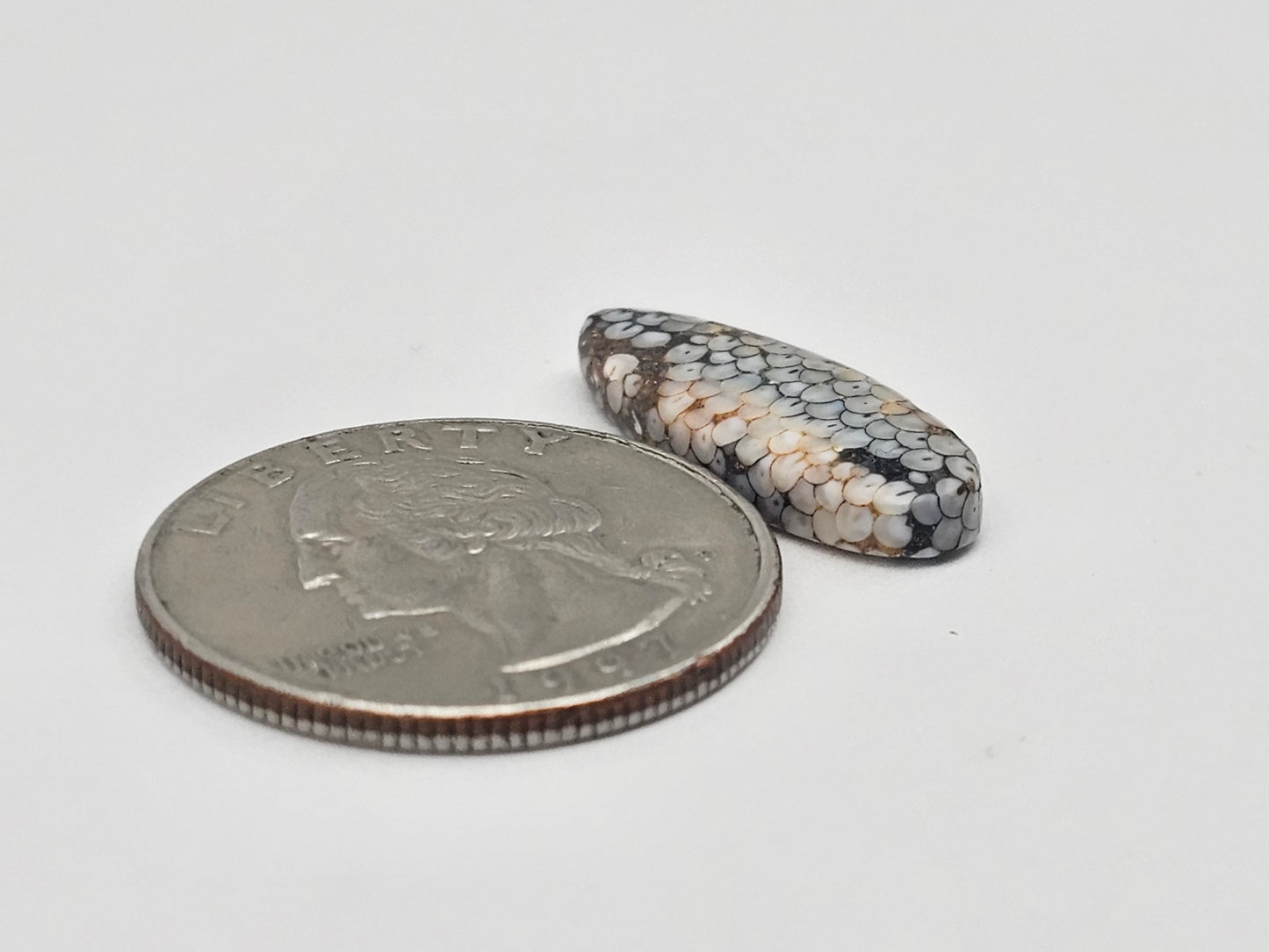 Snake agate cabochon large