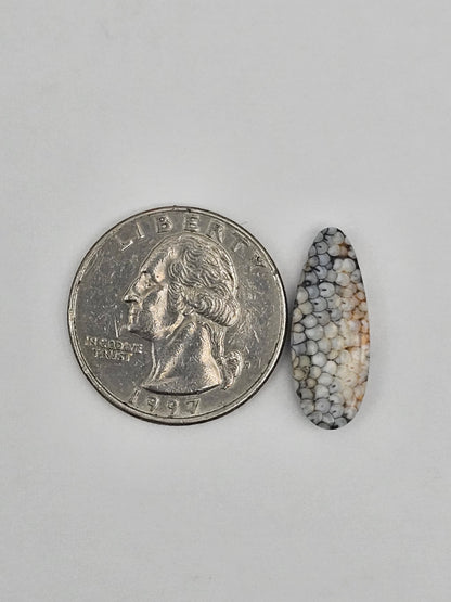 Snake agate cabochon large