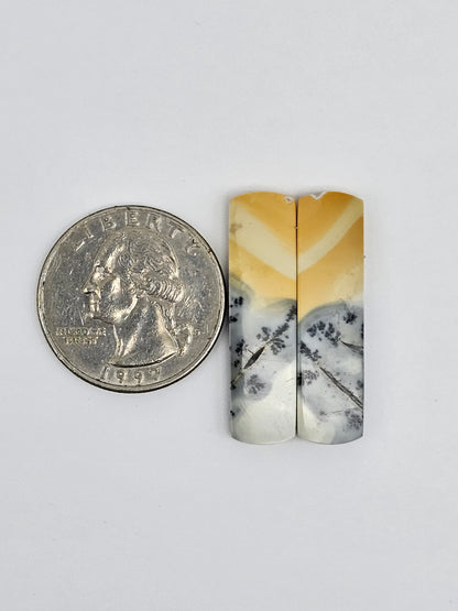 Maligano Jasper Cabochon Pair