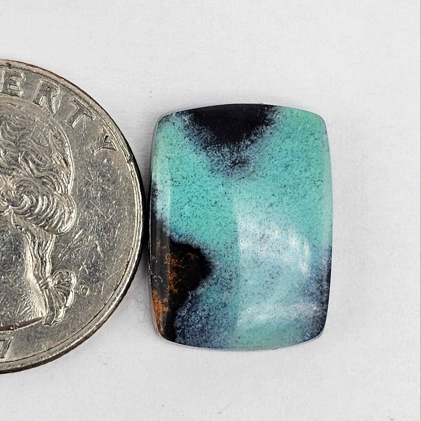 Blue Opal Petrified Wood Cabochon - High Quality