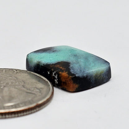 Blue Opal Petrified Wood Cabochon - High Quality