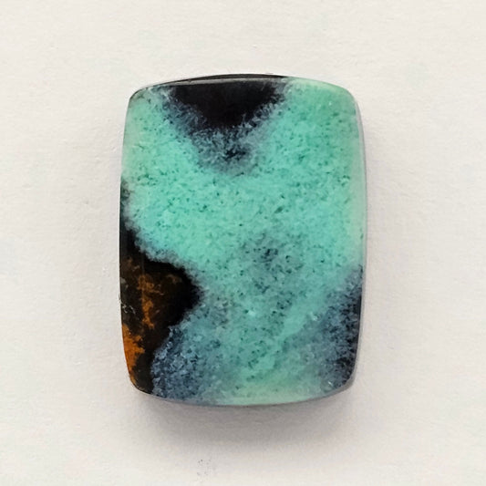 Blue Opal Petrified Wood Cabochon - High Quality