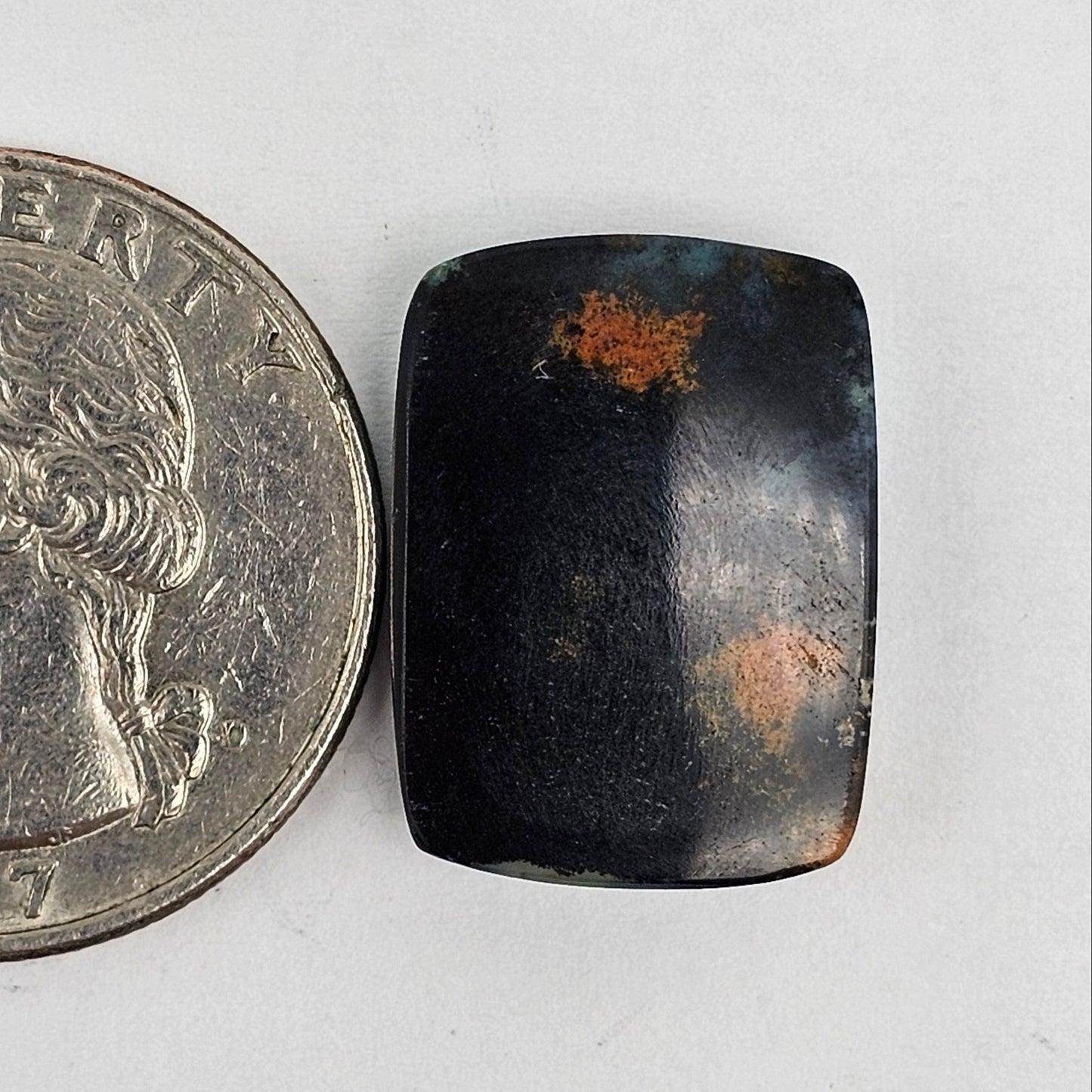 Blue Opal Petrified Wood Cabochon - High Quality
