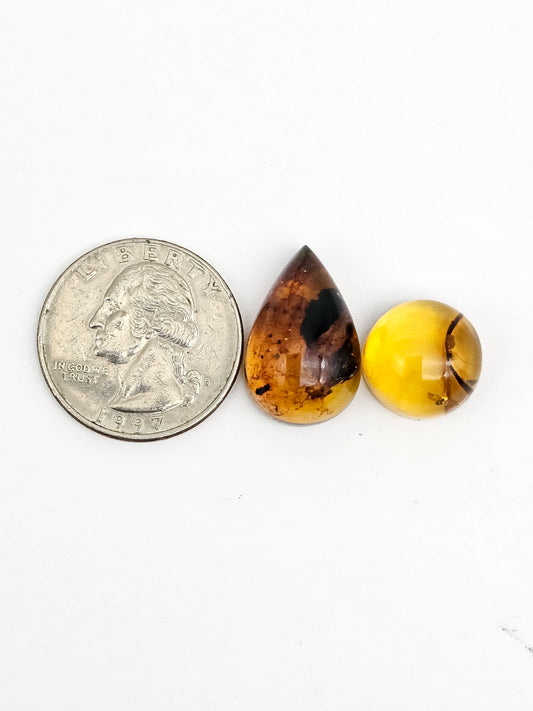 Amber authentic cabochon set large