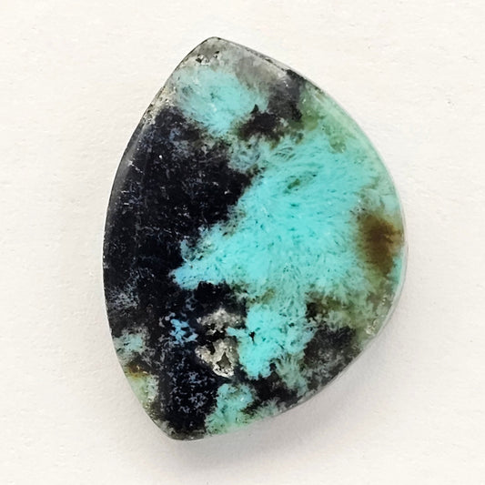 Blue Opal Petrified Wood Cabochon - High Quality