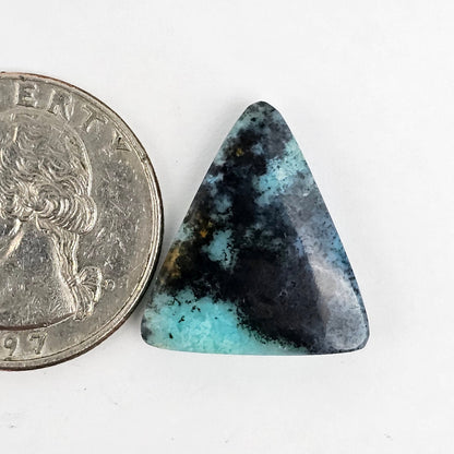 Blue Opal Petrified Wood Cabochon - High Quality