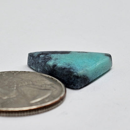 Blue Opal Petrified Wood Cabochon - High Quality