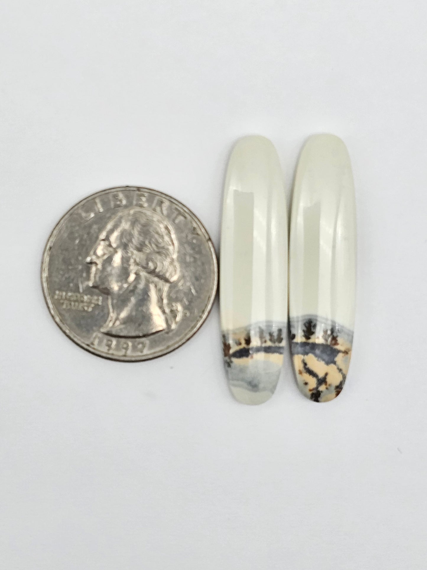 Maligano Jasper Cabochon Pair