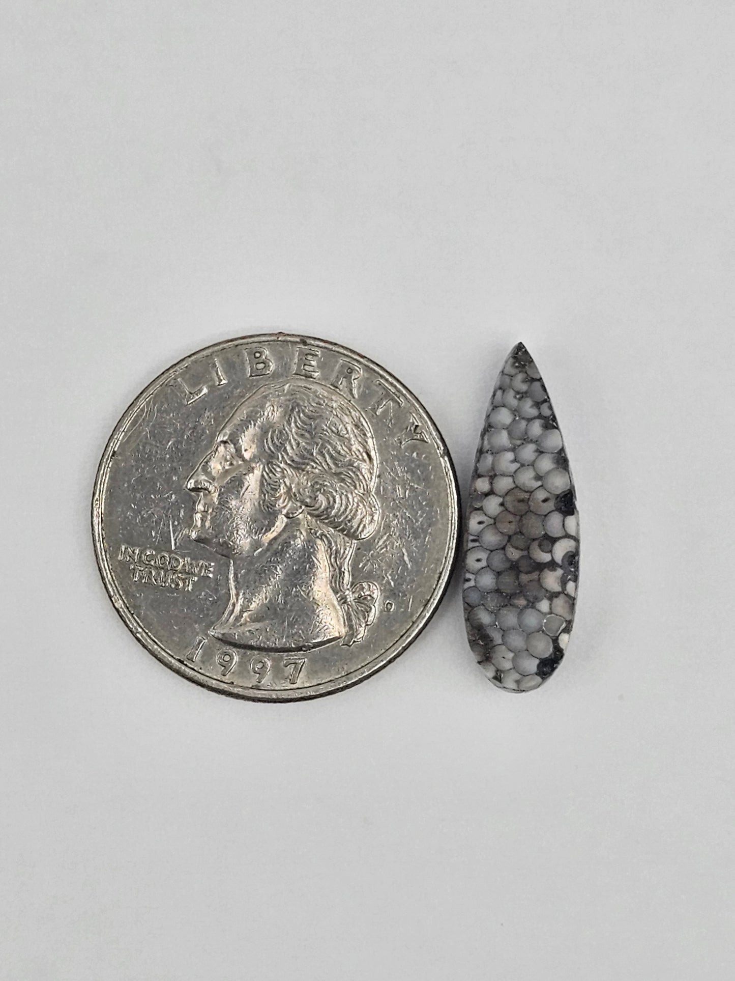 Snake skin agate cabochon