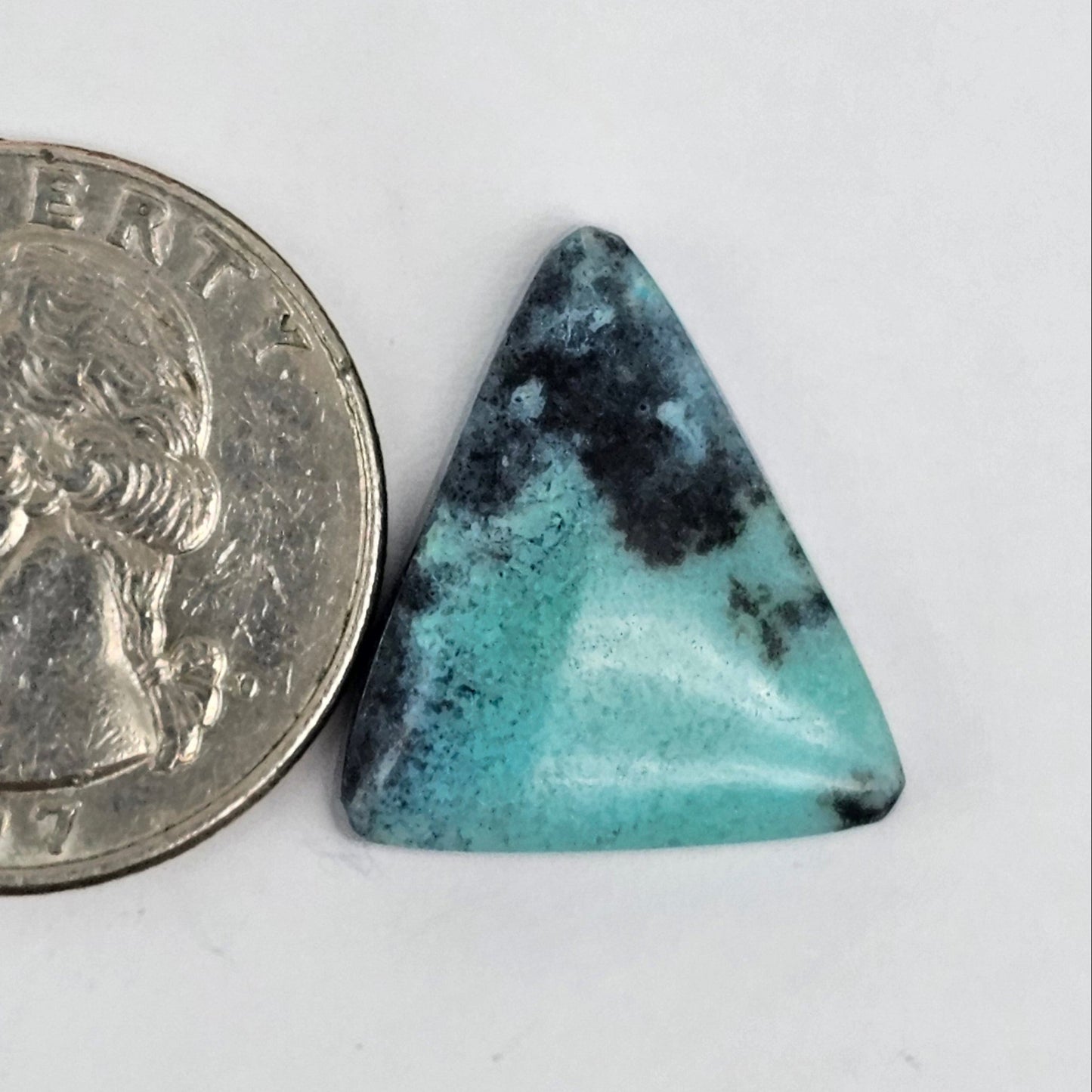 Blue Opal Petrified Wood Cabochon - High Quality