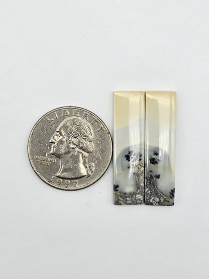 Maligano Jasper Cabochon Pair