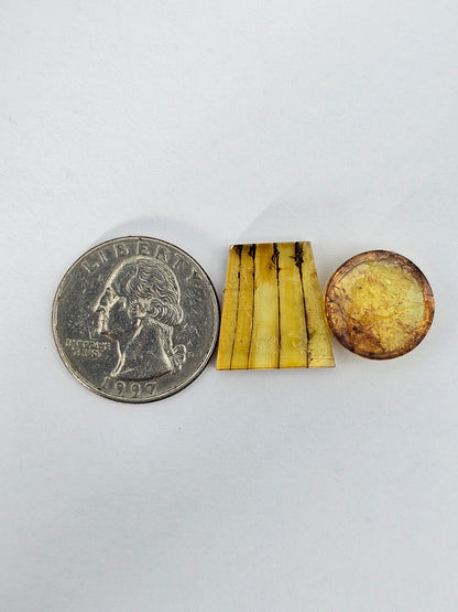 Amber authentic cabochon set large