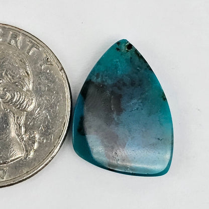 Blue Opal Petrified Wood Cabochon - High Quality