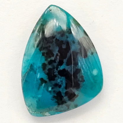 Blue Opal Petrified Wood Cabochon - High Quality