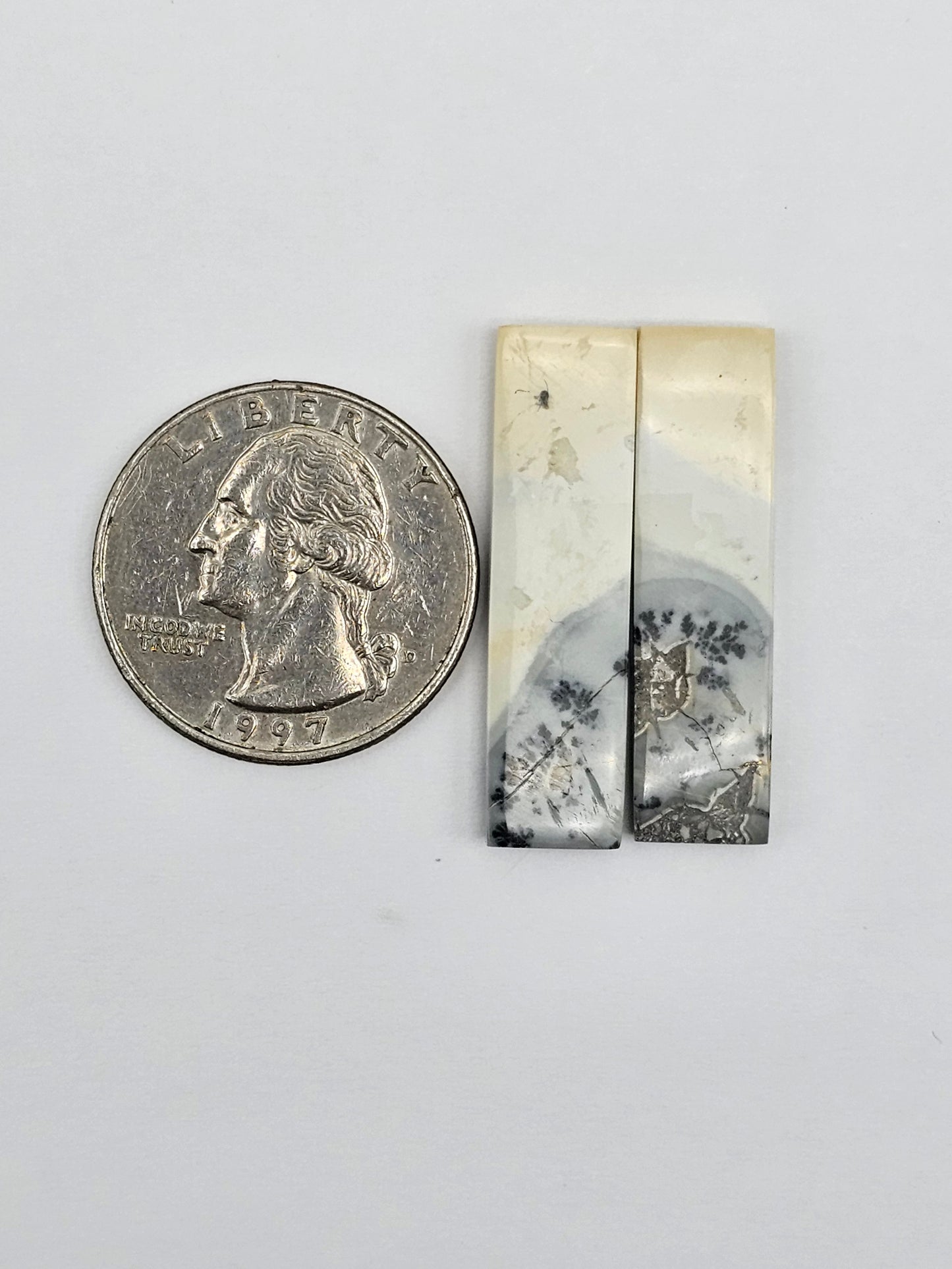 Maligano Jasper Cabochon Pair