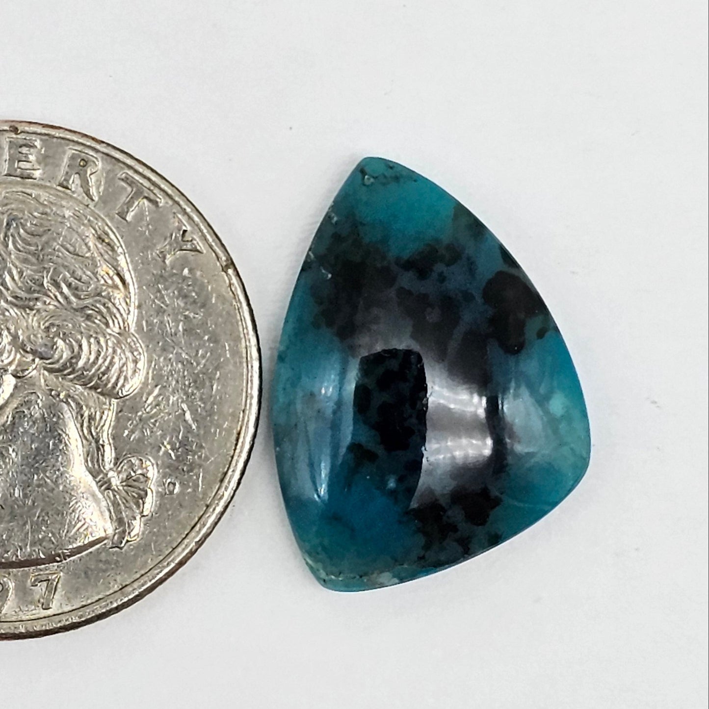 Blue Opal Petrified Wood Cabochon - High Quality