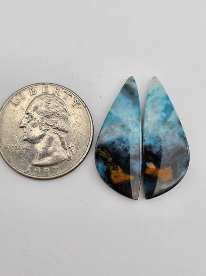 Blue opalized wood Cabochon Pair