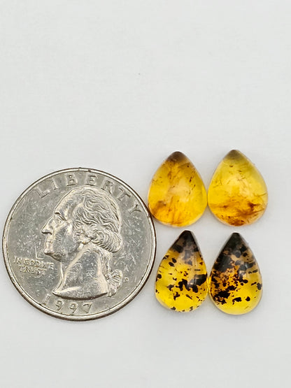 Amber authentic cabochon pair lot