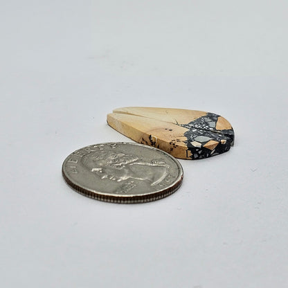 Maligano Jasper cabochon pair