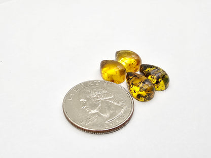 Amber authentic cabochon pair lot
