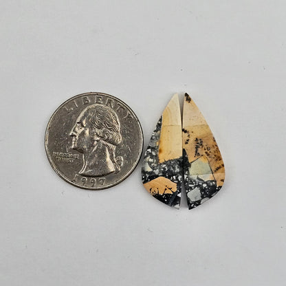 Maligano Jasper cabochon pair