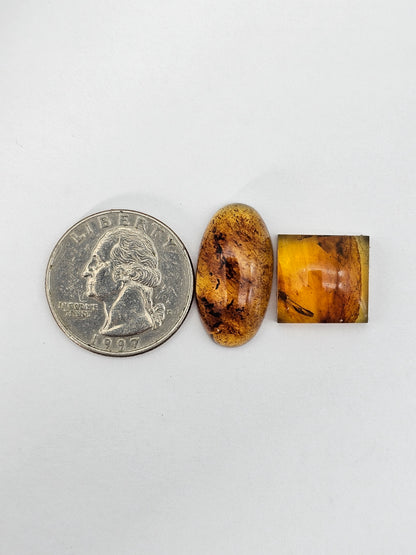 Amber authentic cabochon set large