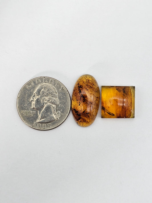 Amber authentic cabochon set large