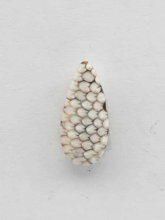 Snake skin agate cabochon