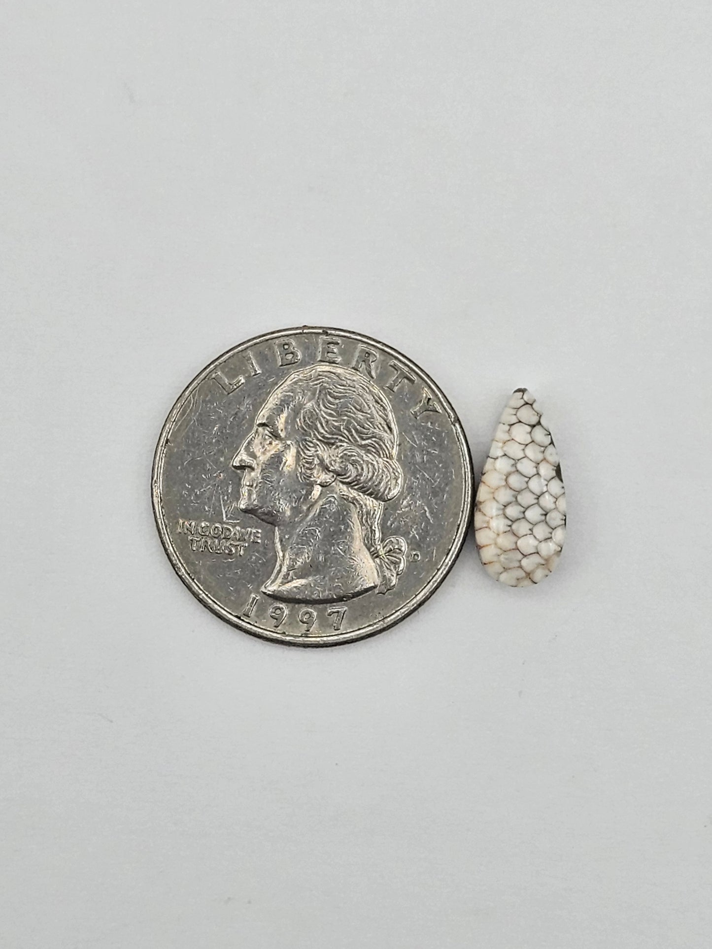 Snake skin agate cabochon