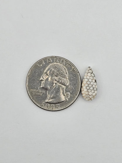 Snake skin agate cabochon