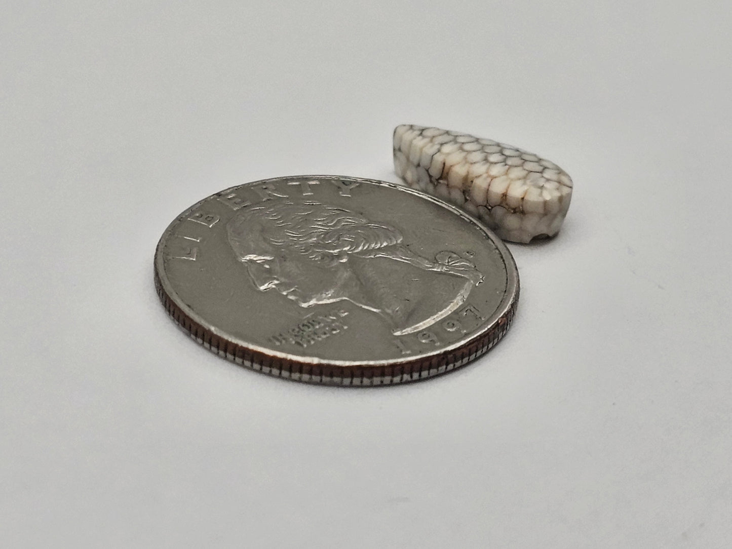 Snake skin agate cabochon