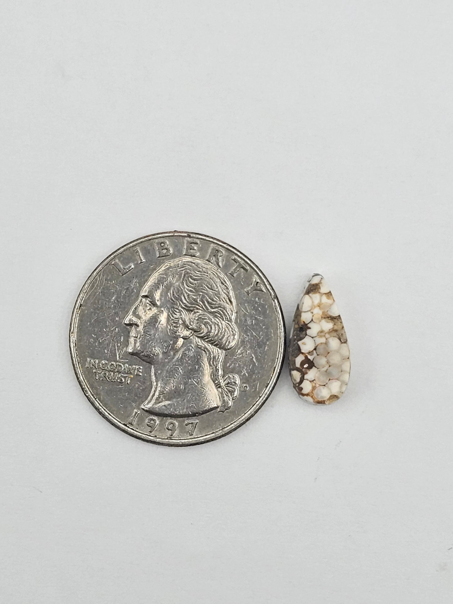Snake skin agate cabochon
