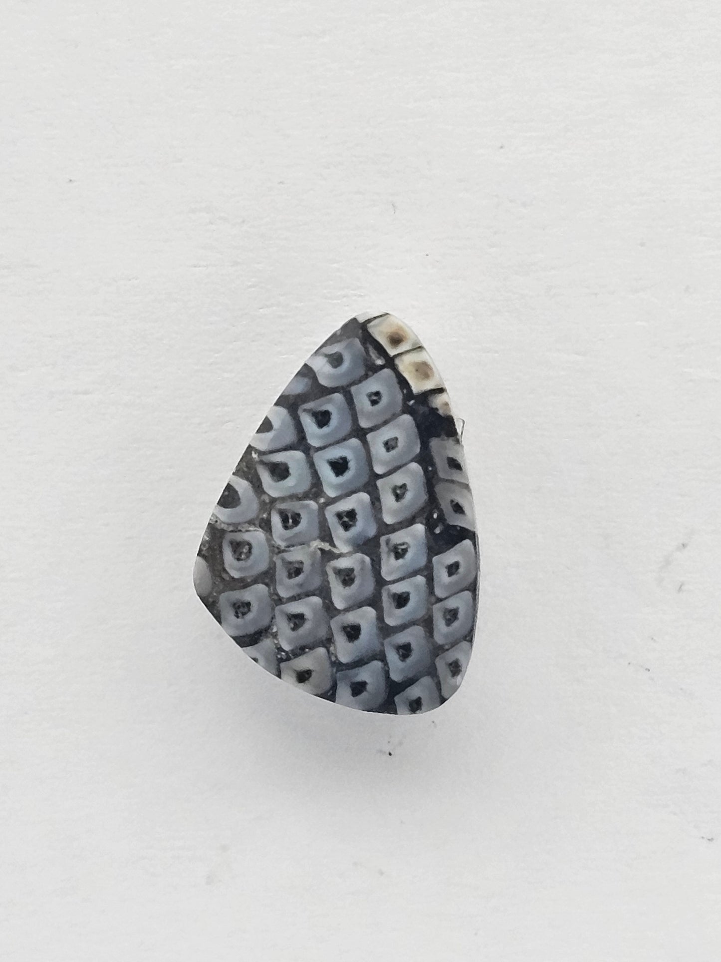 Snake skin agate cabochon