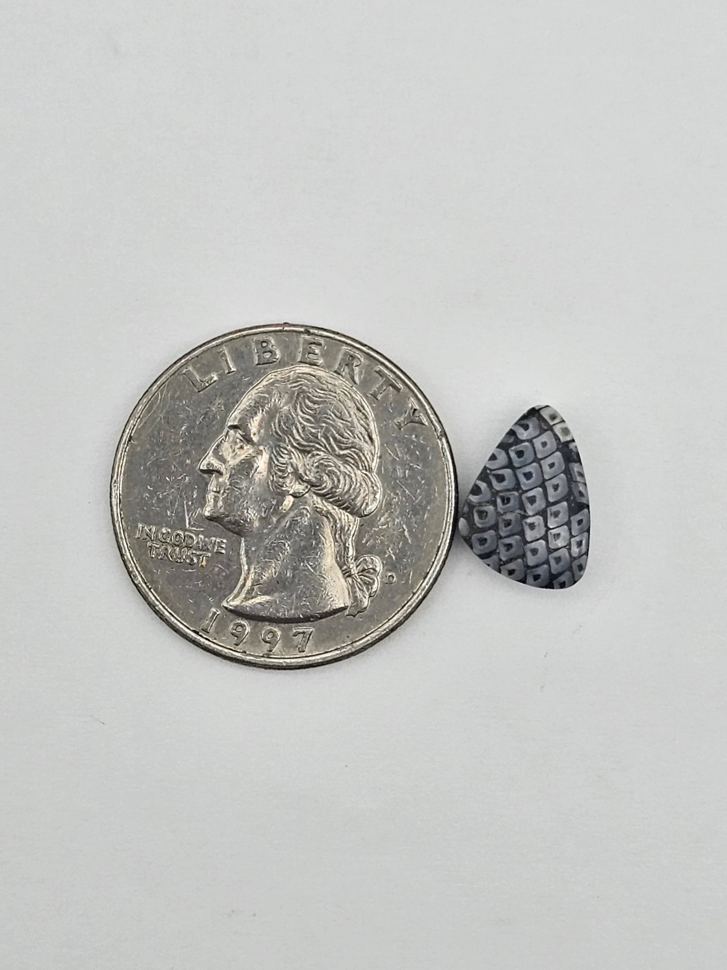 Snake skin agate cabochon