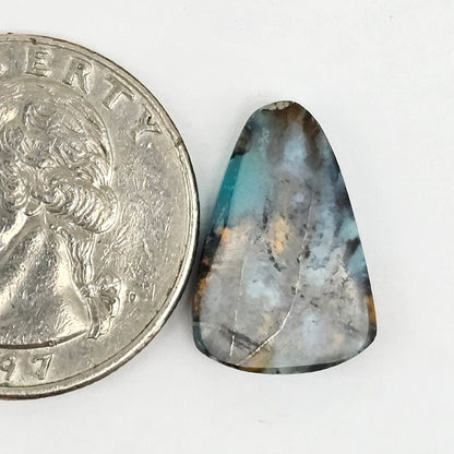 Blue Opal Petrified Wood Cabochon - High Quality
