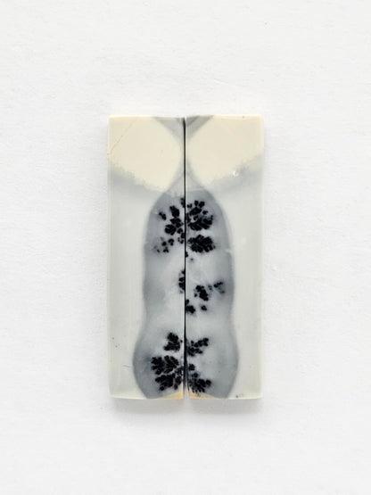 Maligano Jasper Cabochon Pair