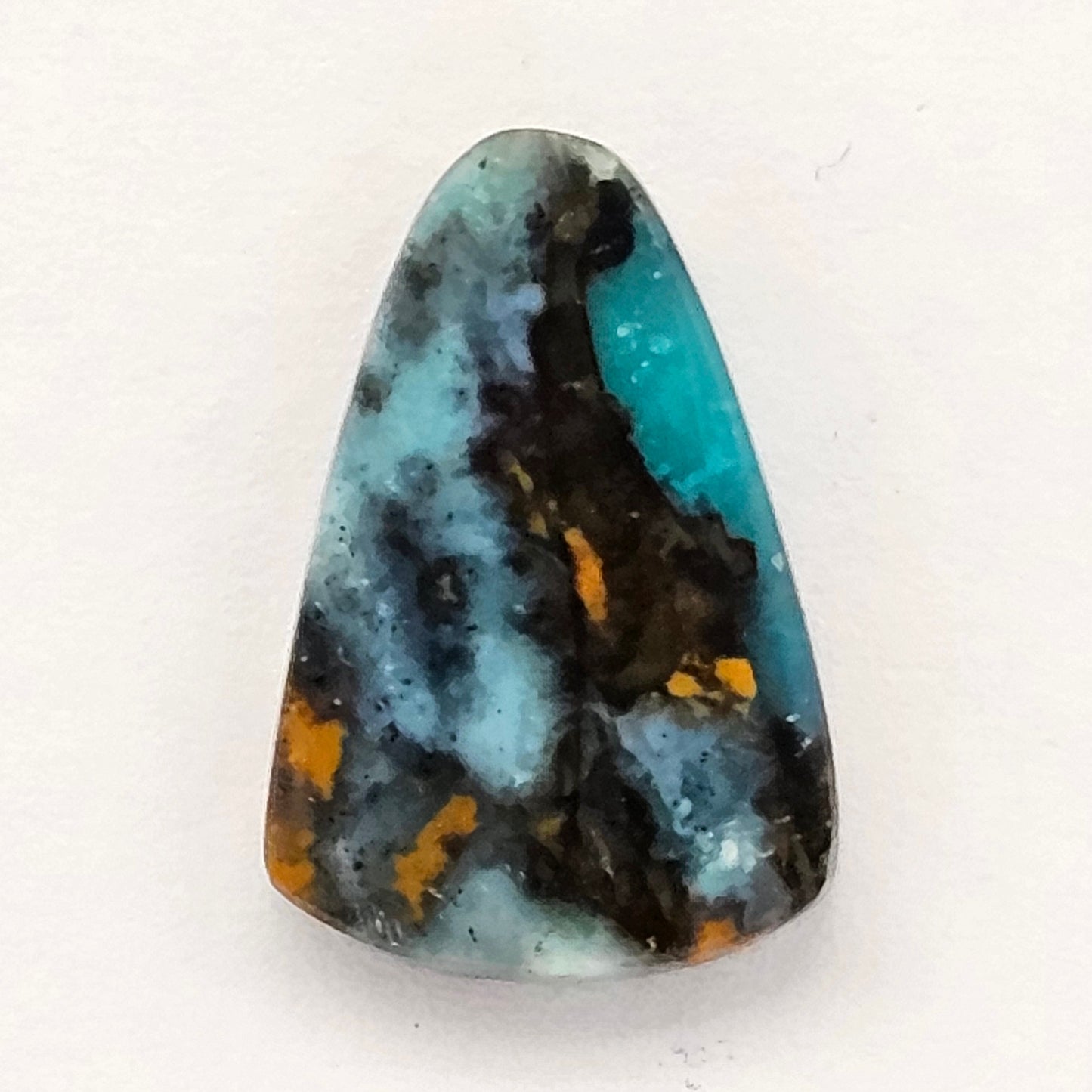 Blue Opal Petrified Wood Cabochon - High Quality