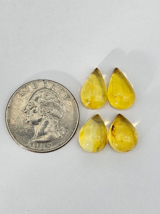 Amber authentic cabochon pair lot